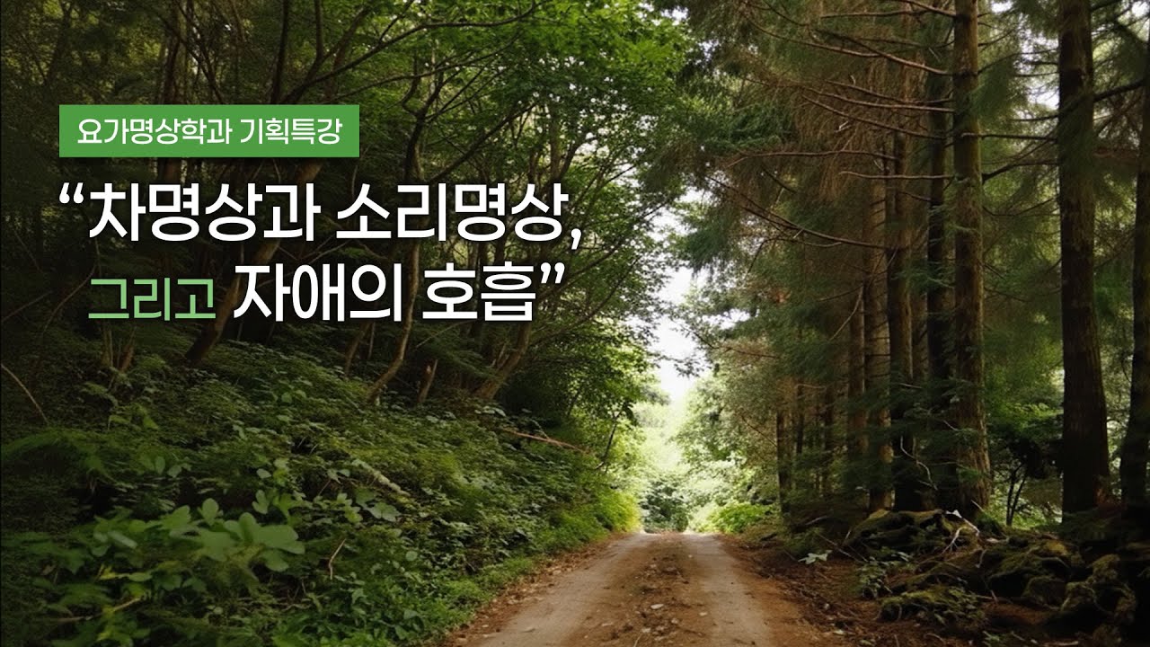 차명상과 소리명상, 그리고 자애의 호흡 - 영상보러가기